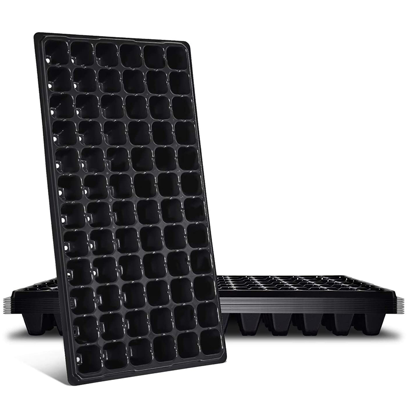 ABGH-10 Opakowanie taca starto – Propagation Tray 72 recenzja i cena