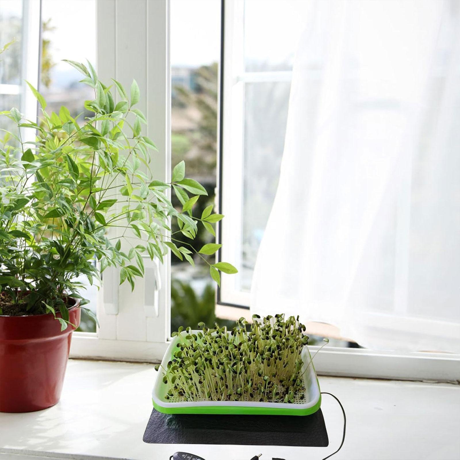 Mata grzewcza do hydroponiki d – Heat Mat Seedling recenzja i cena